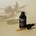 Regenerating Rose Hip Serum: Serum Regenerador Facial 30ml - Imagen 2